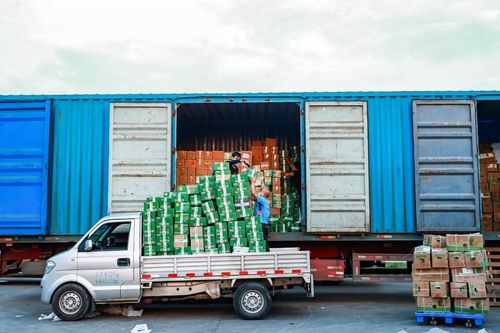 疫情陰影下的無聲群體 他們絕不該被忽視——以博宇佳業為例